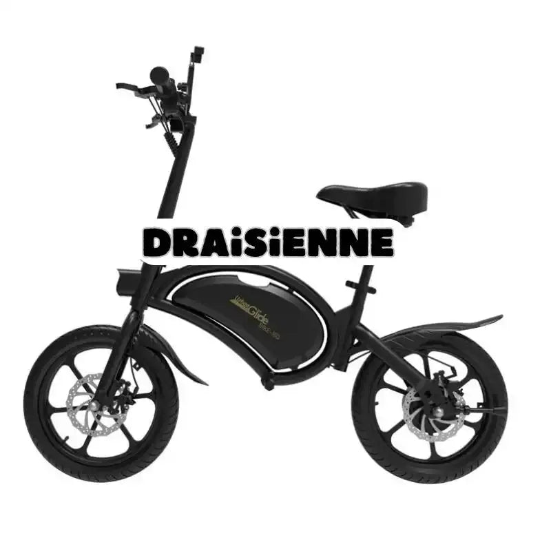 Piece-détachée-Draisienne Trott-Riders