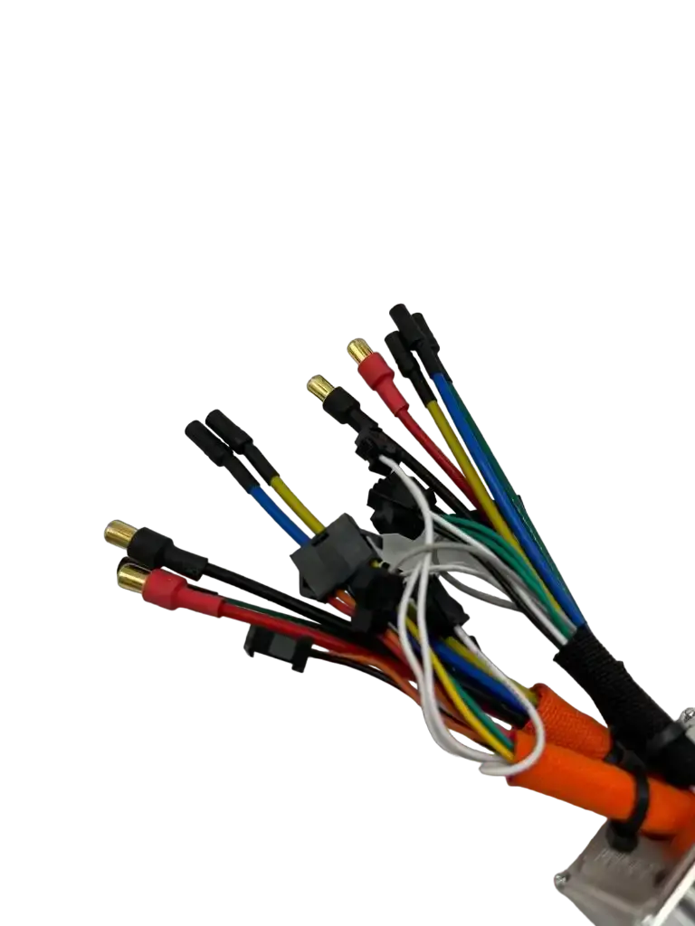 DUALTRON VICTOR LUXURY | CONTROLEUR Trott-Riders