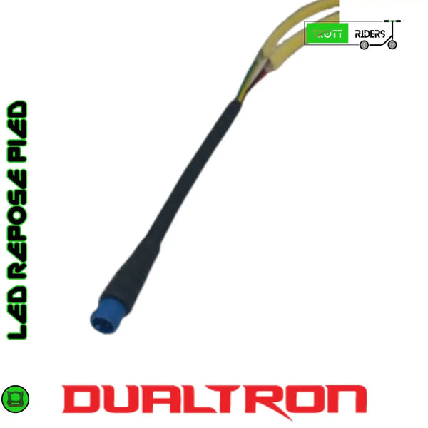 LED REPOSE PIED | DUALTRON THUNDER 2 & ACHILLEUS & VICTOR - Trott-Riders