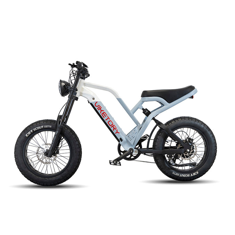 NAVY Fatbike Électrique 20" 250W 48V 15Ah - Vélo Électrique Tout Terrain Aluminium Bleu Marine