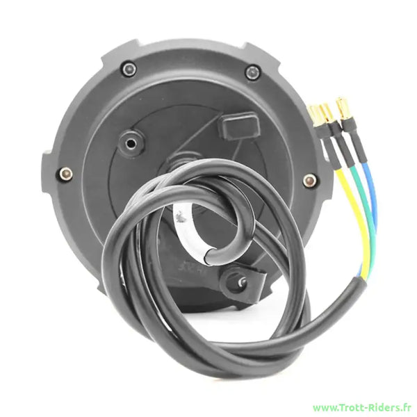 DUALTRON MINI | MOTEUR 1000W ARRIERE MINIMOTORS