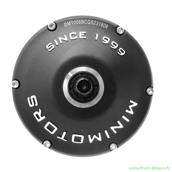 DUALTRON MINI | MOTEUR 1000W ARRIERE MINIMOTORS